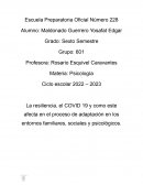 RESILIENCIA EN PANDEMIA