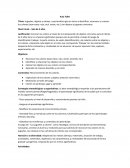 Juguetes, objetos y colores, cuya temática gira en torno a identificar, reconocer y conocer los colores (sean estos: rojo, azul, verde, etc.) con objetos y juguetes concretos