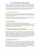 PREHISTORIA EN LA PENÍNSULA IBÉRICA