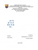 INFORME DE AUDITORIA BASICA