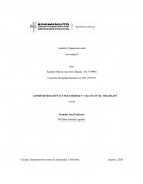 Administración en seguridad y salud en el trabajo. Funcionamiento del diagnostico organizacional