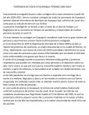 Contagios de COVID-19, Guayaquil, periodo 2020-2021