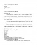 LA FALTA DE VALORES EN LA SOCIEDAD