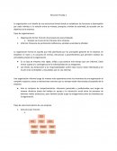 Tipos de estructuras dentro de una empresa