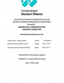 ANOMALÍAS CONGÉNITAS DEL APARATO DIGESTIVO