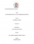 ENSAYO ORIENTACION EN LAS UNIVERSIDADES ESPAÑOLAS