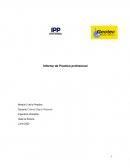 Informe de Practica profesional