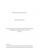 Ciberseguridad el futuro de las organizaciones. Análisis de Riesgos Informáticos