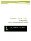 Administracion para los negocios. “inclusión y seguridad LTDA”