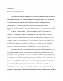 Las vacunas y el sistema inmune