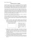 SISTEMA PUESTA A TIERRA
