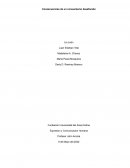 CONSECUENCIAS DE CONSUMISMO DESAFORADO