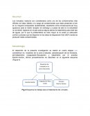 OPTIMIZACIÓN DE LA DOSIS DE Fe²+ EN LA REMOCIÓN DE COLOR Y MATERIA ORGÁNICA EN LIXIVIADOS MADUROS MEDIANTE EL PROCESO ELECTRO-FENTON