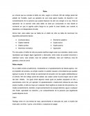 Clasificación del Robo en Yucatán