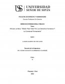 Artículo Jurídico: “Misión Para Velar Por Los Derechos Humanos Y La Conducta Permanente”