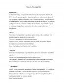 Tipos de Investigación
