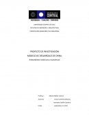 MODELO DE DESARROLLO DE CHINA