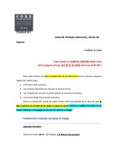 Suma de Teología (selección), Tomás de Aquino