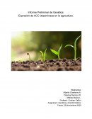 Informe Preliminar de Genética: Expresión de ACC desaminasa en la agricultura