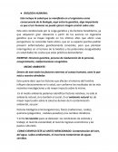 BIOLOGIA HUMANA.MEDIO AMBIENTE