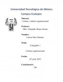 Cultura organizacional Productos Científicos S.A. de C.V