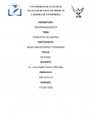 PRINCIPIOS DE ASEPSIA