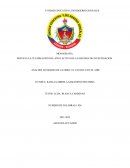 ANALISIS LITERARIO DE LA OBRA: EL CASTILLO EN EL AIRE