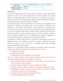 Técnicas de PRL: seguridad en el trabajo e higiene industrial