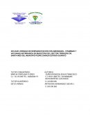 APLICAR JORNADA DE DESPARACITACION CON ABENDASOL, VITAMINAS Y VACUANAS ANTIRRABICA EN MASCOTAS