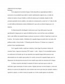 Adquisicion de la lengua