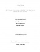 IDENTIFICACION DE UN MODELO ADMINISTRATIVO Y SU IMPACTO EN EL COMPORTAMIENTO DEL PERSONAL