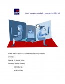 Desarrollo Empresa Nacional elegida: Constructora L y D