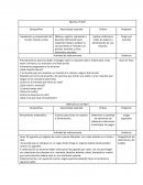 Exploración y comprensión del mundo natural y social