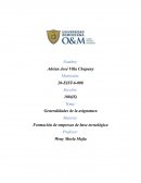 Sistema de gerencia Cap 1 Empresa de Base Tecnológica