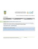Ejemplo de Plan de estrategias didácticas para el trabajo en linea