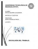 EVOLUCIÓN HISTÓRICA