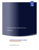 Comportamiento organizacional y liderazgo