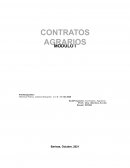 Ensayo Contartos Agrarios