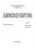 INFORME DE YOGURT FIRME
