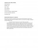 ANALISIS TEST CASA ARBOL PERSONA