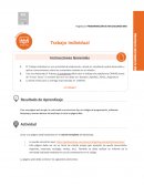 Programacion Aplicaciones Web