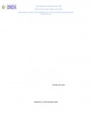 Deserción educativa en discapacidad intelectual en escuelas rurales