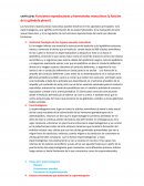Funciones reproductoras y hormonales masculinas (y función de la glándula pineal)