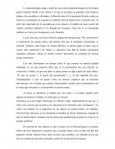 Teoria de la fenomenologia