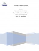 Mapa Conceptual - Técnicas emergentes de análisis multivariante - 1