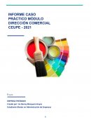 CASO PRACTICO DIRECCIÓN COMERCIAL EMPRESA PINTARAIR