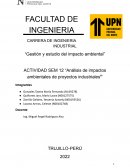 Análisis de impactos ambientales de proyectos industriales