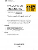 “Análisis de impactos ambientales de proyectos industriales”