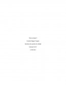 Introducción gestión de calidad