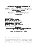 Desarrollo del proceso Downstream